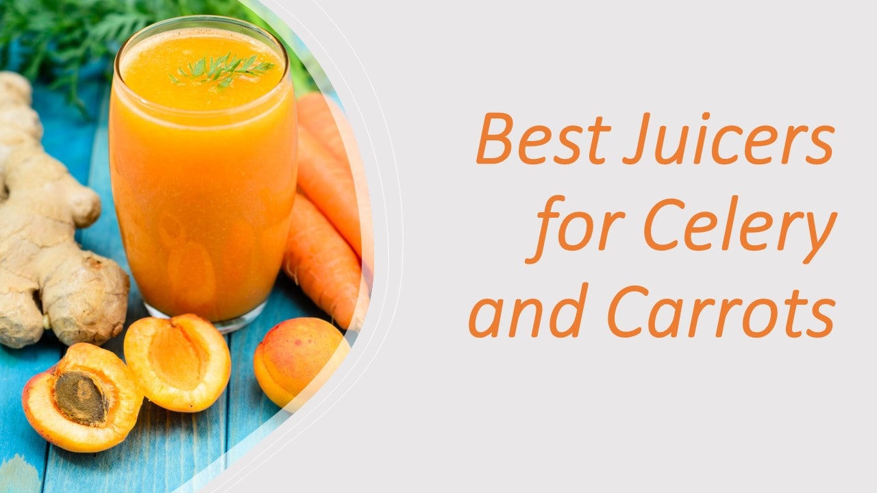best juicers for carrots and celery