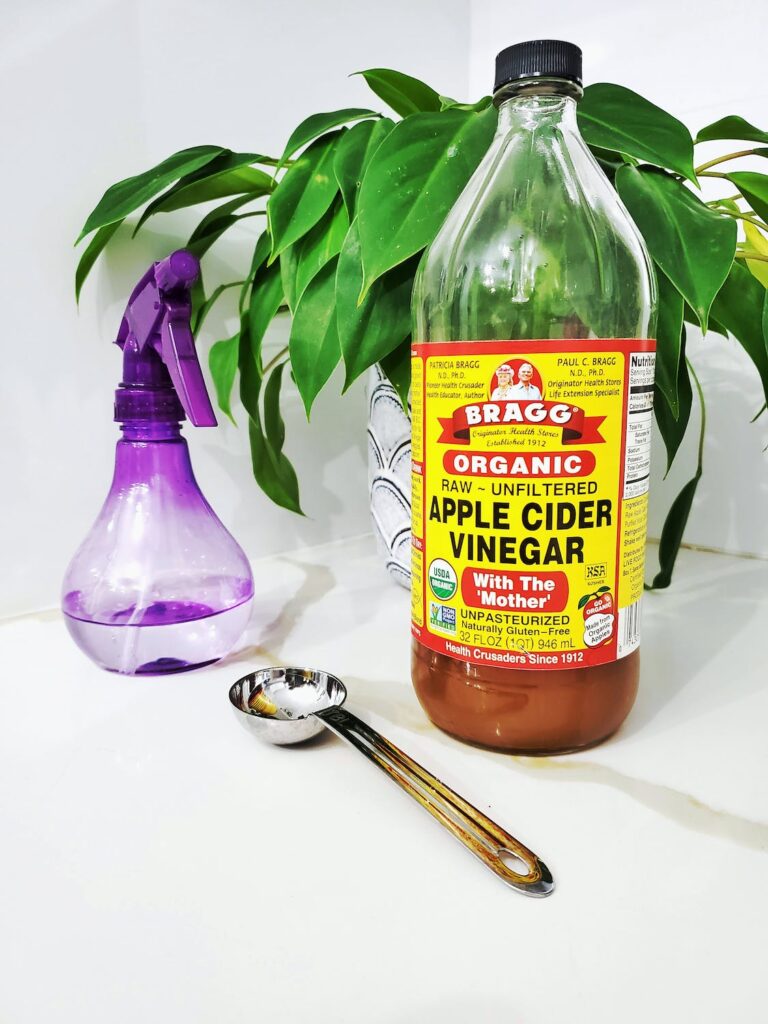 Vinegar - How to Clean a Soda Maker