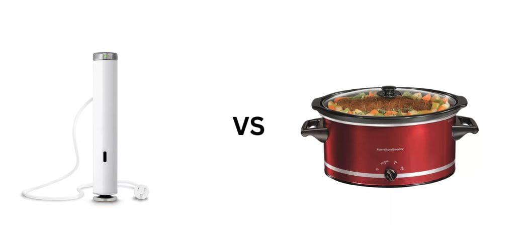 Sous Vide Machine vs. Slow Cooker: What to Buy?